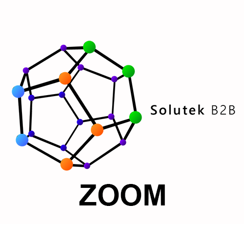 Zoom